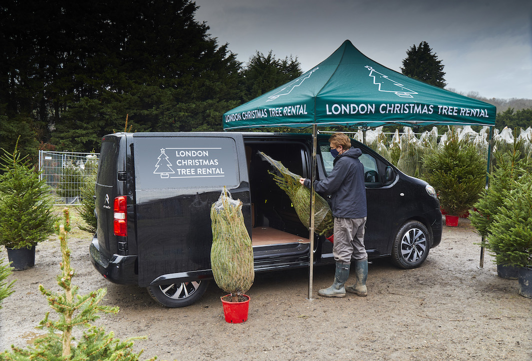 Citroen Branches Out Into Tree Rental Fir Christmas | Electrifying
