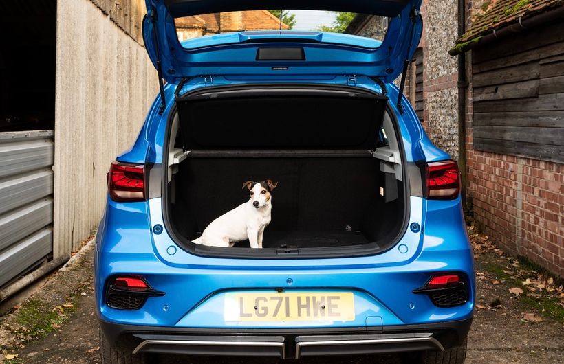 The Best Electric Cars For Dogs Pooch Perfect Electrifying